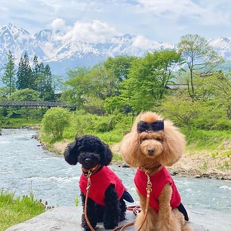 白馬パウダーマウンテン Hotel Hakuba Exterior photo