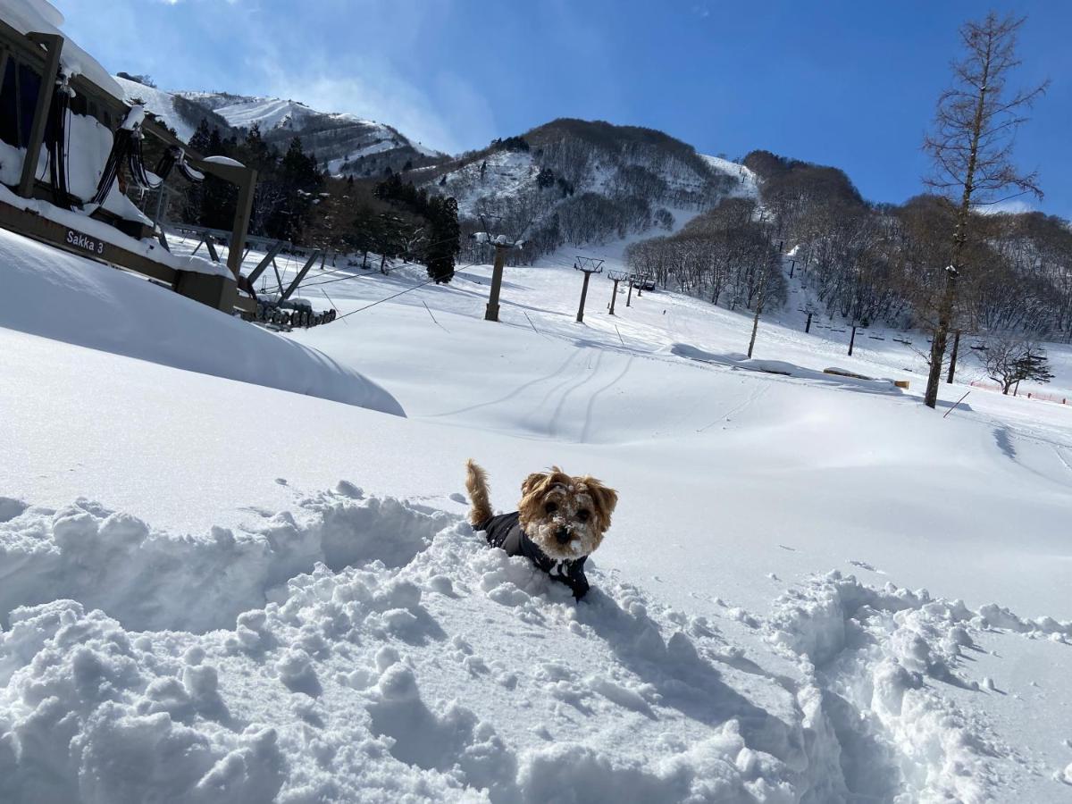 白馬パウダーマウンテン Hotel Hakuba Exterior photo