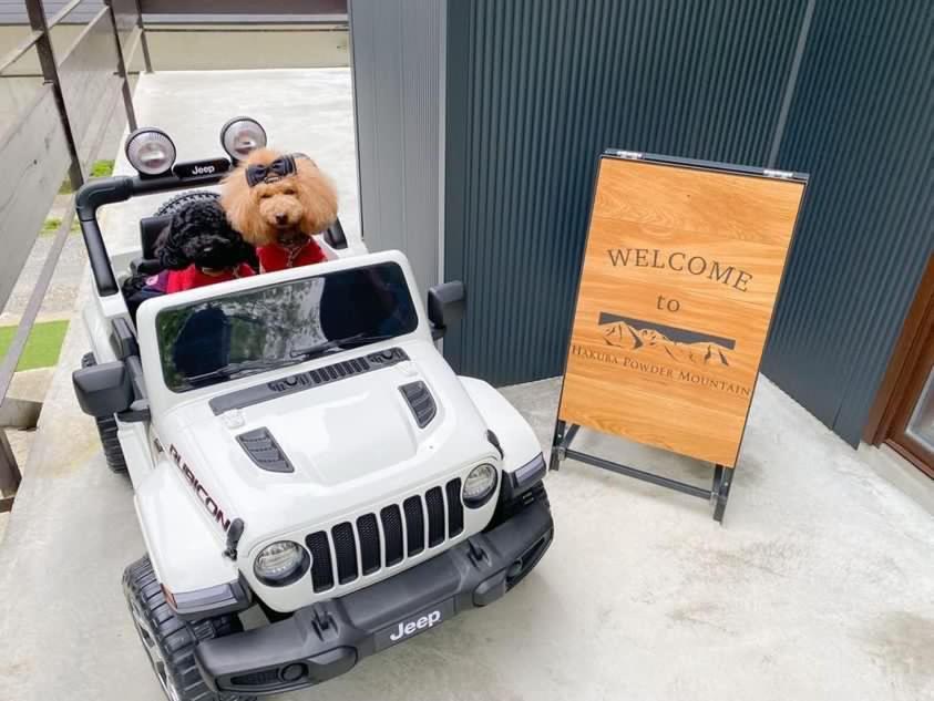 白馬パウダーマウンテン Hotel Hakuba Exterior photo